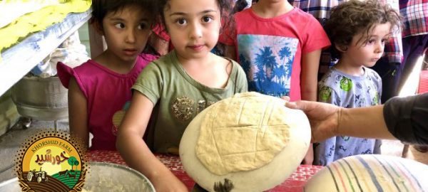 تور گردشگری