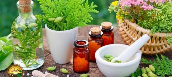 گیاهان دارویی