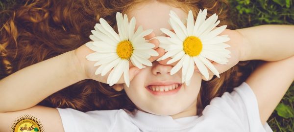 طبیعت و خلاقیت