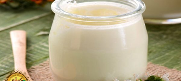 طرز تهیه ماست روستایی