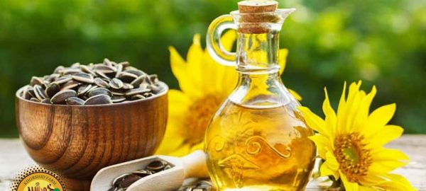 بهترین لوکیشن آفتابگردان اطراف تهران